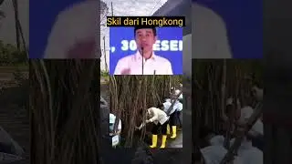 Jejak digital MULIONO 