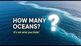 How Many Oceans Are on Earth and Why They Matter.
