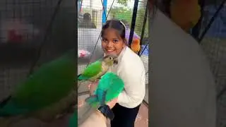 Main Tota Main Tota #viral  #trending #dance #dancecraze #maintota #parrot #videoforkids