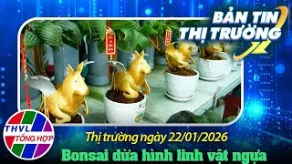 Bản tin thị trường (22/01/2026): Bonsai dừa hình linh vật ngựa