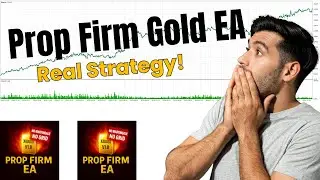 Prop Firm Gold EA Review - Real Time Based Strategy