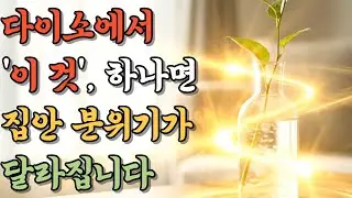 돈 안 들이고 집 분위기 바꾸는 법｜다이소 소품으로 하는 생활 풍수