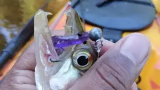 ultralight neles, utilizando micro camar&atilde;o 🐟🐟🎣.