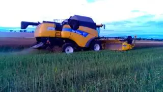 2012 New Holland CX 8080 Combine cutting winter