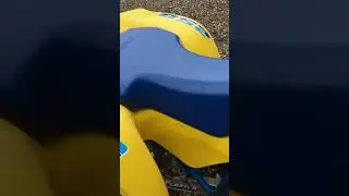 1989 Suzuki quadracer 250