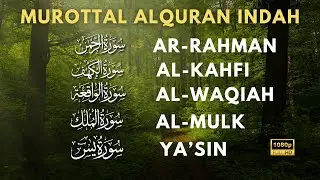 Murottal Al Quran Penenang Hati | Surah Al Waqiah, Yasin, Ar Rahman, Al Mulk, AlKahfi | Alaa Aqel