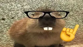 Top 10 Masbro... (Capybara Meme)