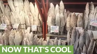 Experience a fish market in the coldest village on Earth!