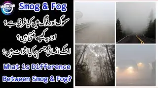 Smog Vs Fog Difference | The Science Behind Fog And Smog | Side Effects