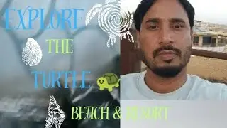 Explorer The Turtle 🐢 Beach 🏖️ | Seaside View | People Enjoyments | Beach huts | Live Dance Party ||