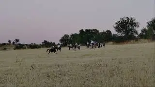 Gani r&uuml;zgar şavata sesver kader sinema filmi &ccedil;ekimleri /keban Denizli k&ouml;y&uuml;