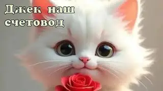 Запоріжжя. 30.01.26.  В городе громко. Джек наш счетовод. Новая игрушка зашла ! 