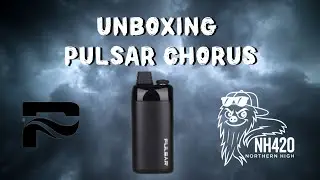 Распаковка: Pulsar Chorus