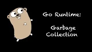 GSGI Go Runtime