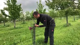 Na co se chystám teď v půlce května? Radkův sad