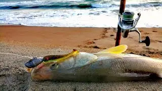 pesca de PLAYA || Como pescar ROBALOS con SEÑUELO DE ORILLA.