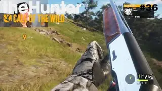 JAGEN IN SCHOTLAND | the hunter call of the wild (NL) XBOX #36 (SCOTLAND HUNTINGRESERVE)