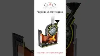 Черная жемчужина TMF