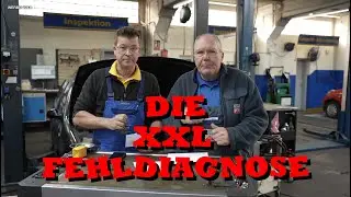 Die Autodoktoren, die FEHLDIAGNOSE