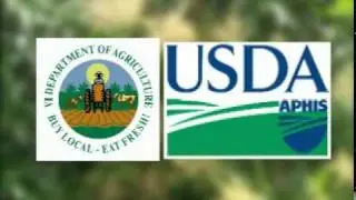 USDA and VIDA Pest Surveillance March 2011