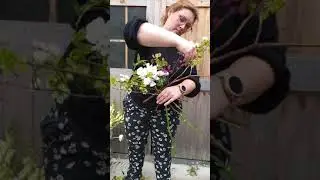 Live Bouquet de Mariée Déstructuré