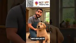 Goldwood Kennels - Pet Boarding Service in White Bear Lake, Minnesota | Pet Near Me USA 40