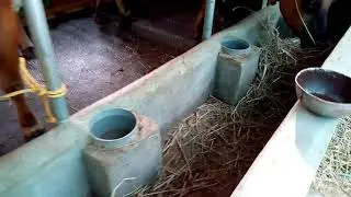 Automatic water filling system in Farm
