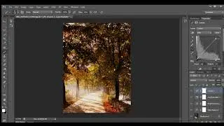 How to Use Adobe Photoshop Tools (Change Spring to Fall)