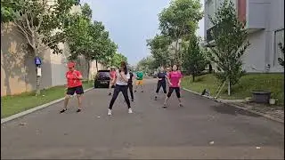 Twist Again Line Dance Mozart