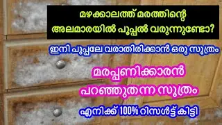 മഴക്കാലത്ത് മരത്തിന്റെ അലമാരയിൽ പൂപ്പൽ വരുന്നുണ്ടെങ്കിൽ ഇങ്ങനെ ഒരറ്റതവണ ചെയ്താൽ മതി.. 100% റിസൾട്ട്