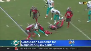 Dolphins QB Cutler Remains In Concussion Protocol