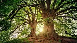 Abraham-Hicks ~ Expectation = Desire + Belief