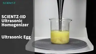 SCIENTZ ultrasonic egg-shattering process, ultrasound&rsquo;s practical value in food and research