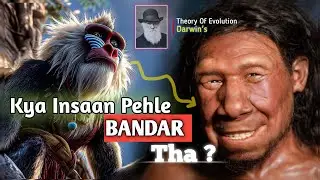 Theory Of Evolution Explained: In 60 Seconds Bible & Qur'an 