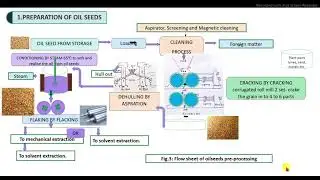 Oil-Solvent extraction Process-Edible oil Processing Technology  Part-2