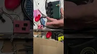 Electric Mistress clone (Madbean 