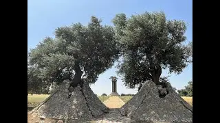 Run to Olive Park: Discovering Jerusalem's Hidden Gems