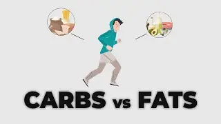 Carbs/Fats!! Which gives you more energy??