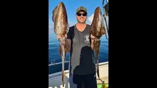 BIG SQUID and WINTER WHITING - Western Port Fishing