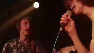 We got on stage at a Ron Gallo concert.