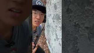 Flechettes VS Human Torso  #12gauge  #shotgun #viral #shooting #shorts #gun