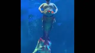 Try Not To Laugh 😂 Top 100 Funniest Fails Compilation