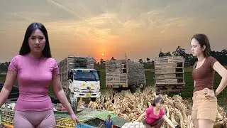 ngày 29 tháng 1, 2026