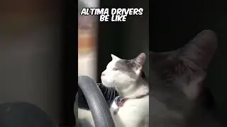 Altima Drivers be like⚠️🫣