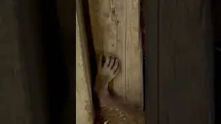 Scary Hand Caught in a Trap !  #shorts #chicken #farm #predator