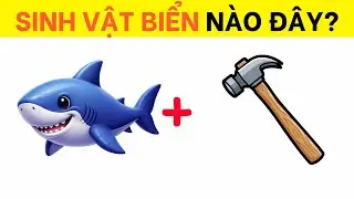 Câu Đố Đuổi Hình Bắt Chữ Đoán Tên Các Loài Sinh Vật Biển | Chan Đố Vui