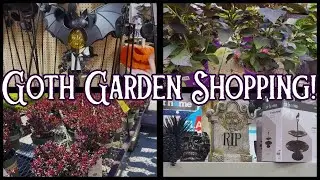 Let's go shopping for the Goth Garden!  Plants & Decor~ At Home, Lowes, Joann
