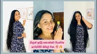 දෙගුනයක් වේගෙන් කොන්ඩෙ වැවෙන රෝස්මරි ඔයිල් එක 🔥Results 💯 The Best Rosmery oil ❤️🔥
