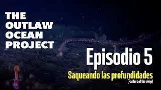 NORMAL | The Outlaw Ocean Project | Ep5. Saqueando las profundidades