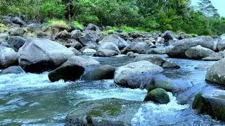 Soothing River Sounds for Yoga, Meditation, and Relaxation | Water Sounds